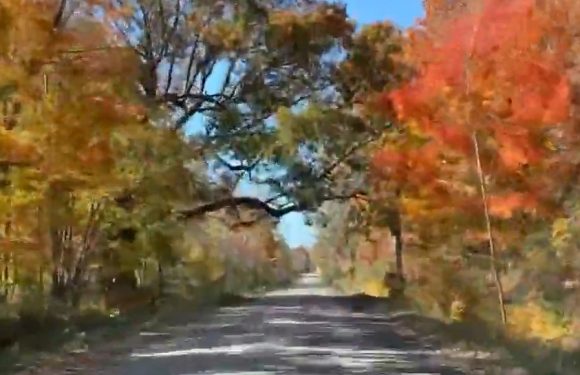 Relaxing Ride: 2019 Mid-Michigan Fall Color Tour [VIDEO]
