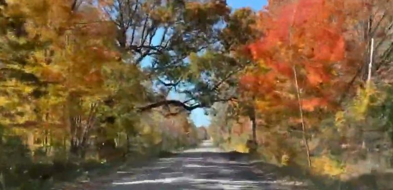 Relaxing Ride: 2019 Mid-Michigan Fall Color Tour [VIDEO]