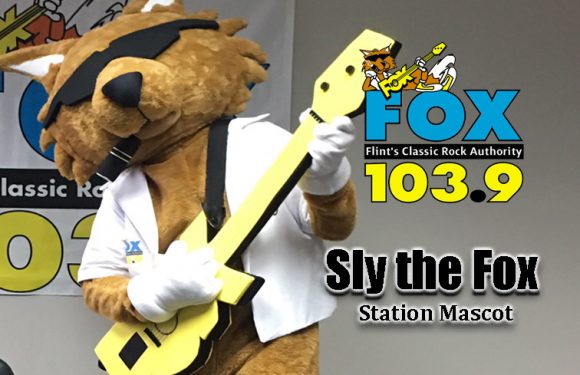 Say “Hi” to Sly! The New Fox Mascot! [VIDEO]