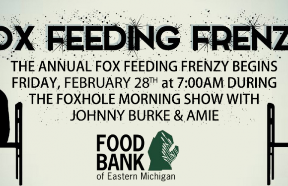 2020 Fox Feeding Frenzy